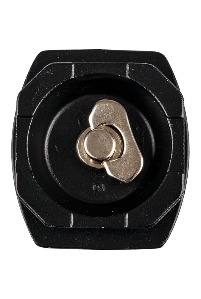 Amazon.com : SLIK 618-330 Replacement Quick Shoe for Tripod